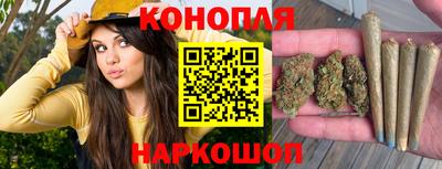 МДПВ Заводоуковск